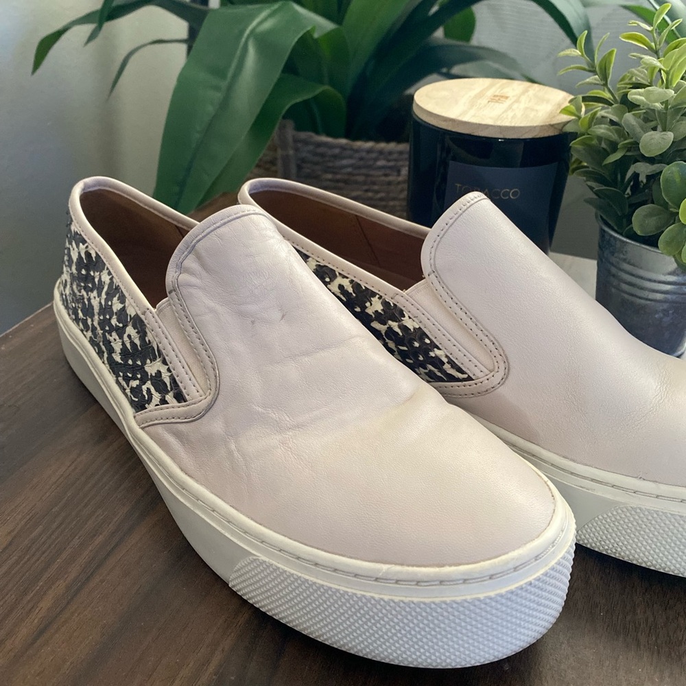 Coach Cameron Slip on Snakeskin Sneaker NWOT
